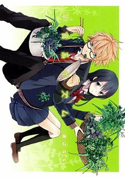Soushokukei Izumu