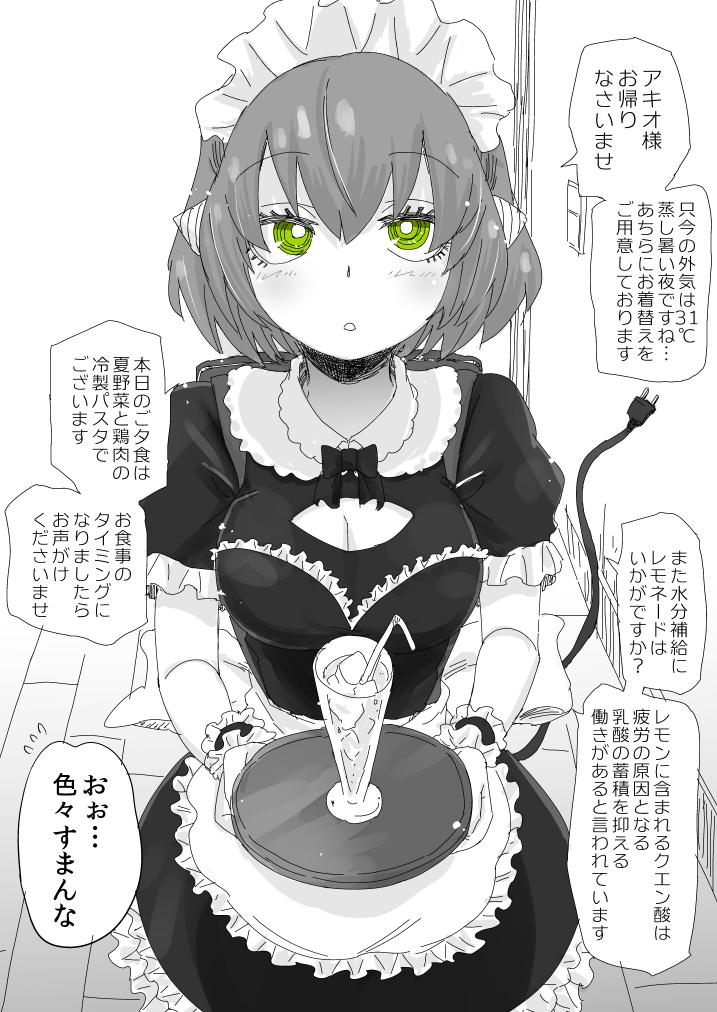 My Perfect Maid Robot Is Hard to Deal With