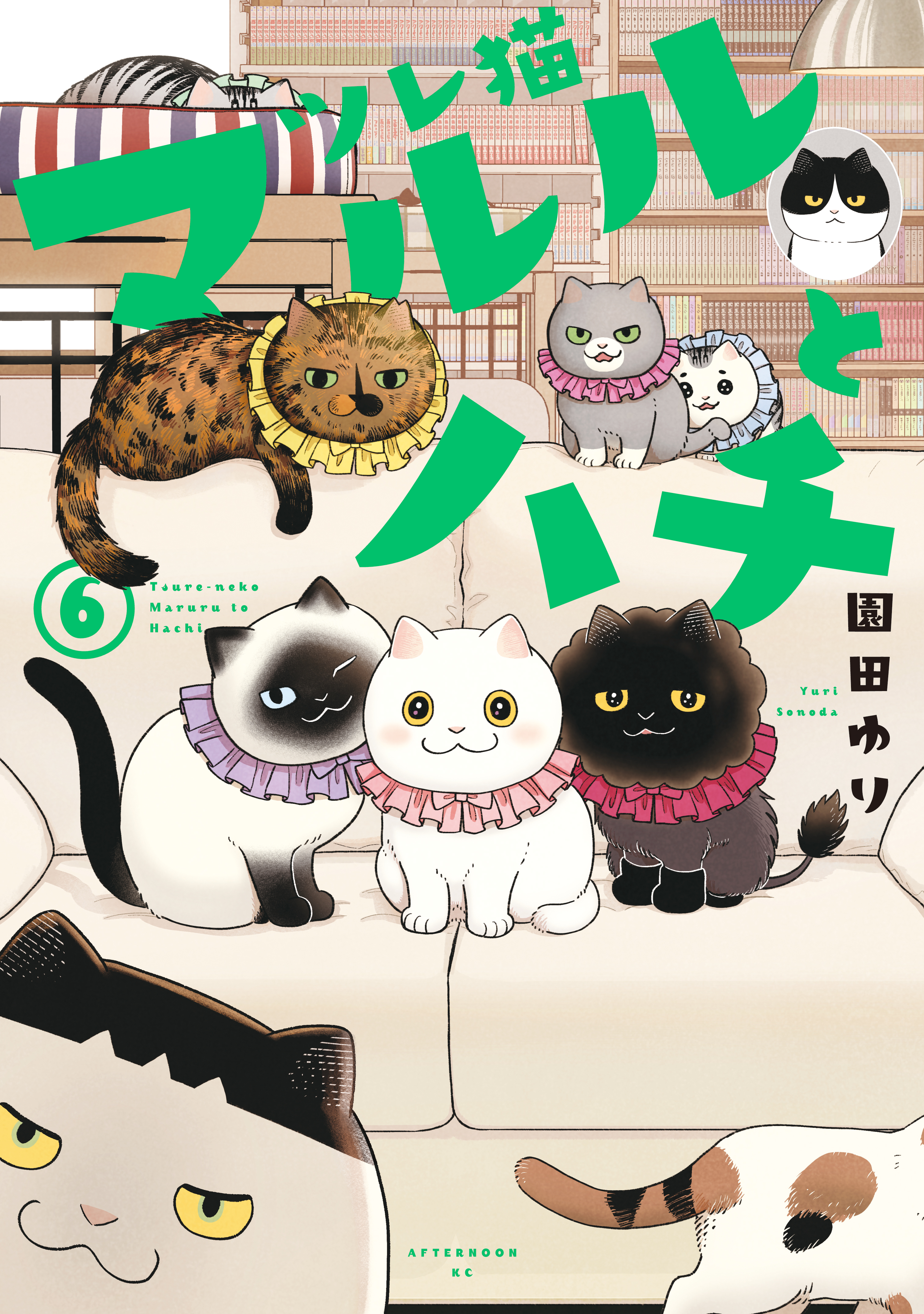 Cat Companions Maruru and Hachi
