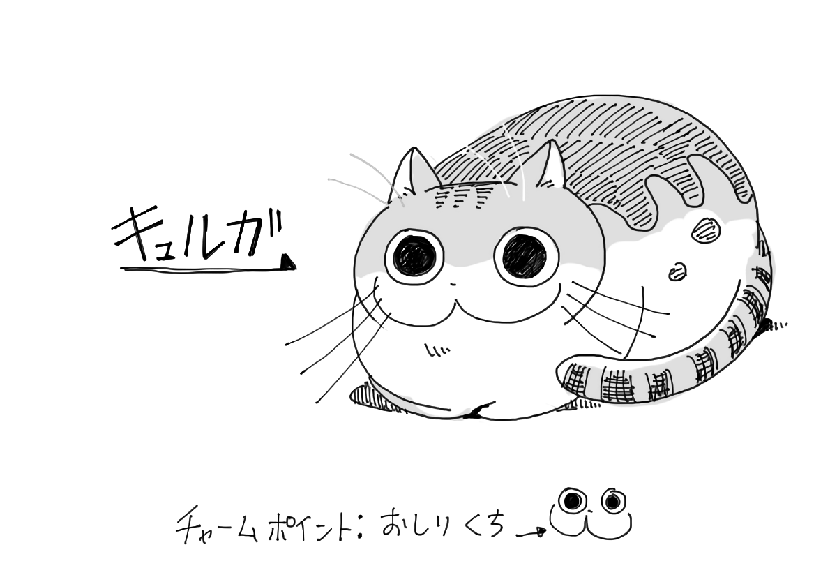 Always A Beginner Cat