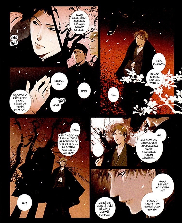Under the Cherry Trees