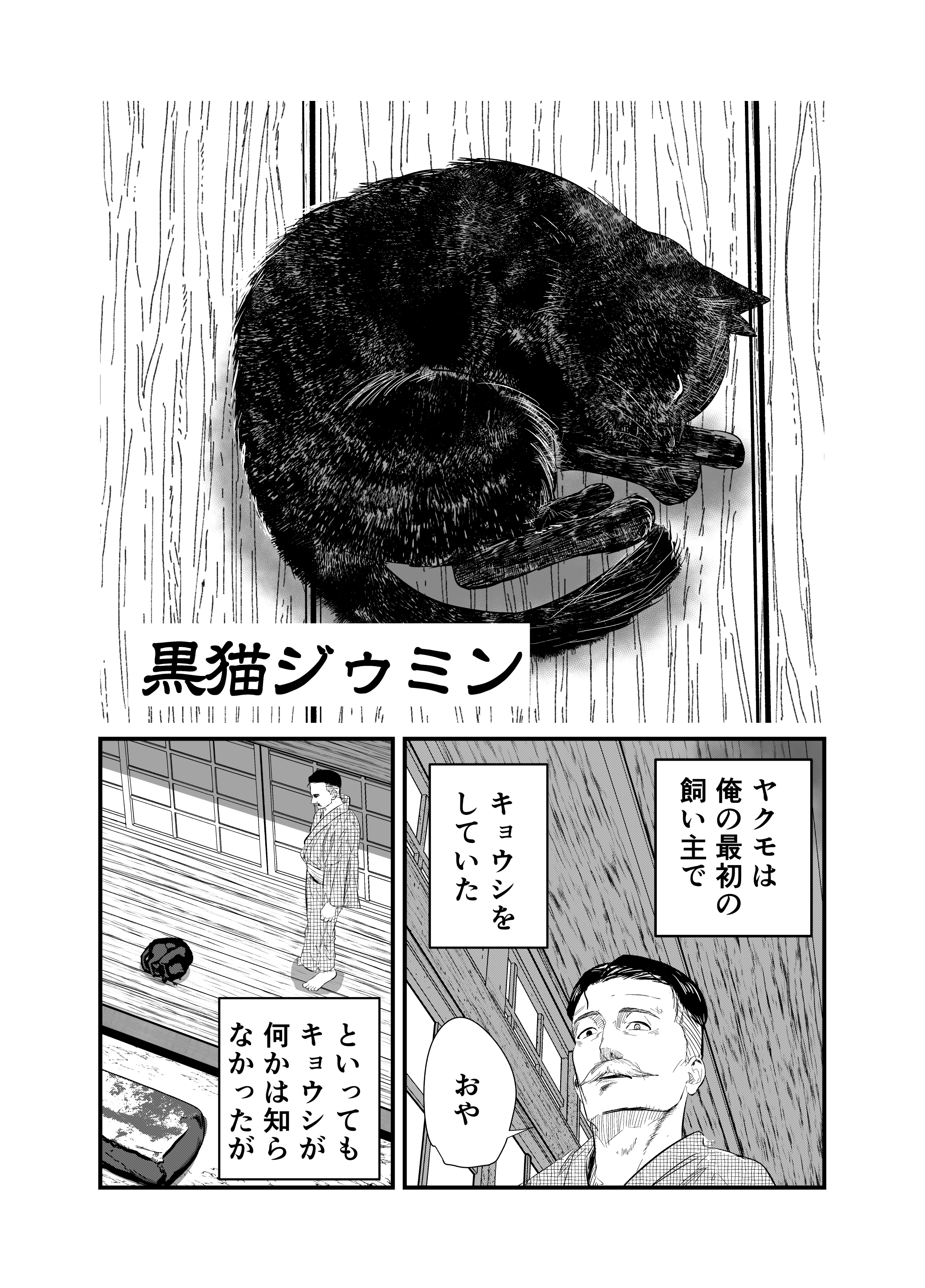 Black Cat Jiumin