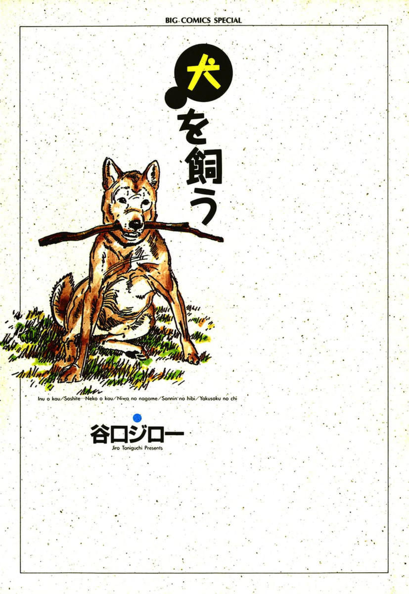 Feed the Dog