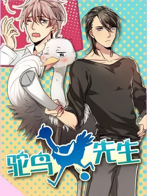 Mister Ostrich